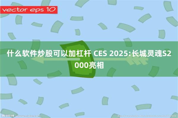 什么软件炒股可以加杠杆 CES 2025:长城灵魂S2000亮相