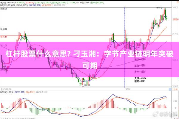 杠杆股票什么意思? 刁玉湘：字节产业链明年突破可期