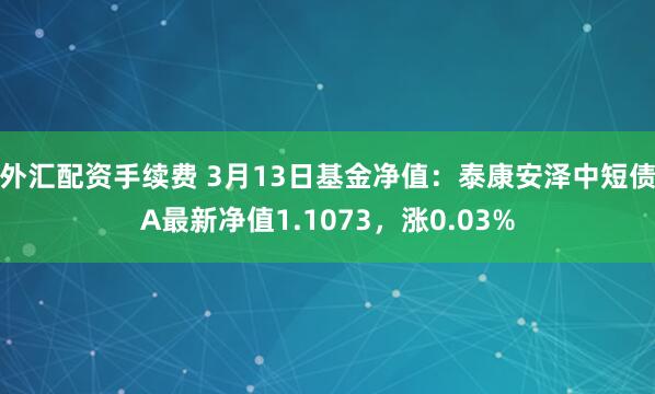 外汇配资手续费 3月13日基金净值：泰康安泽中短债A最新净值1.1073，涨0.03%