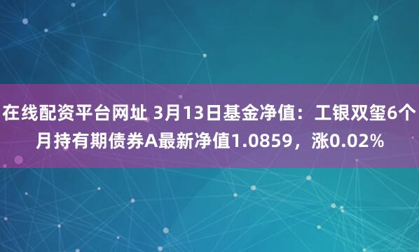 在线配资平台网址 3月13日基金净值：工银双玺6个月持有期债券A最新净值1.0859，涨0.02%