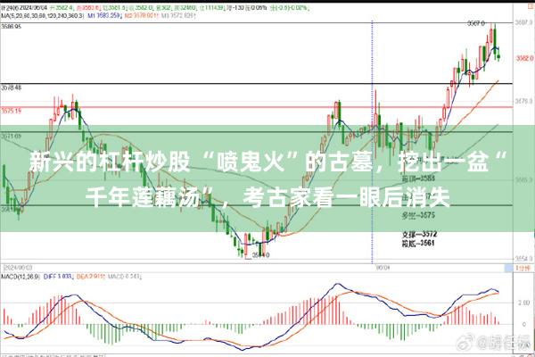 新兴的杠杆炒股 “喷鬼火”的古墓，挖出一盆“千年莲藕汤”，考古家看一眼后消失